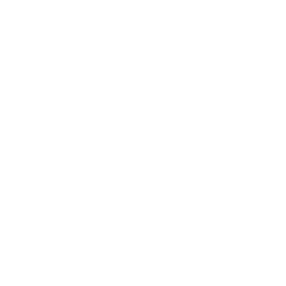 Logo Angelotti