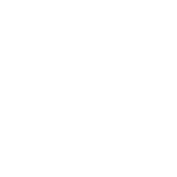 PICHET-LOGO-BLANC